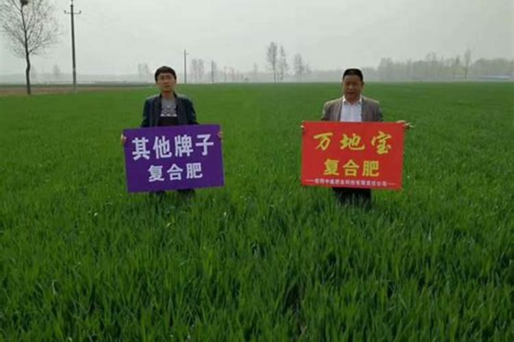 广西微量元素肥厂家有哪些？
