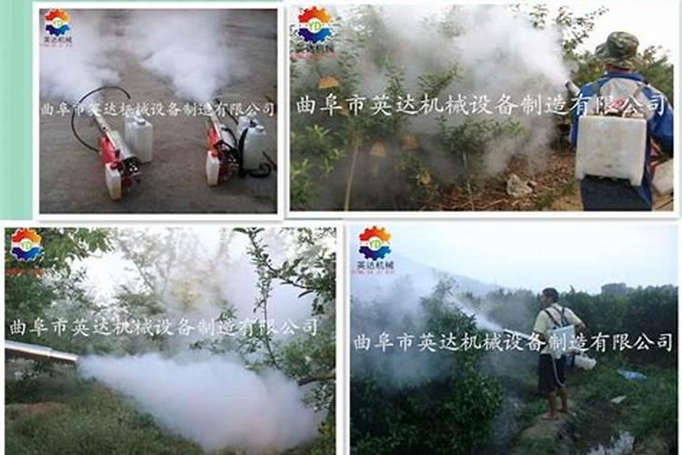弥雾机喷药肥的注意事项：确保安全与效果的关键步骤？