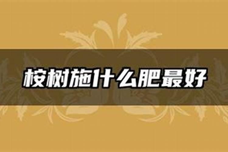 桉树怎么施硼肥最好呢春季使用？