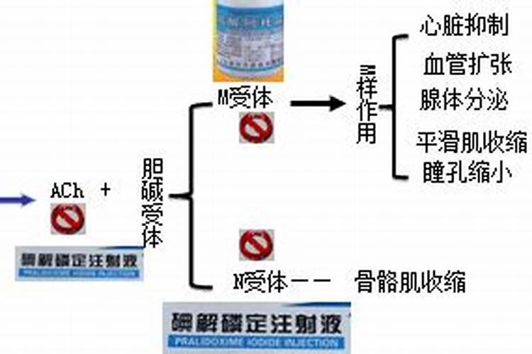 探究急性农药中毒的多元原因：一篇全面解析？