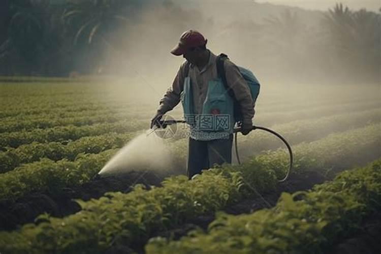 绿色革命下的新章节：揭秘你所不知道的农药使用新方法？