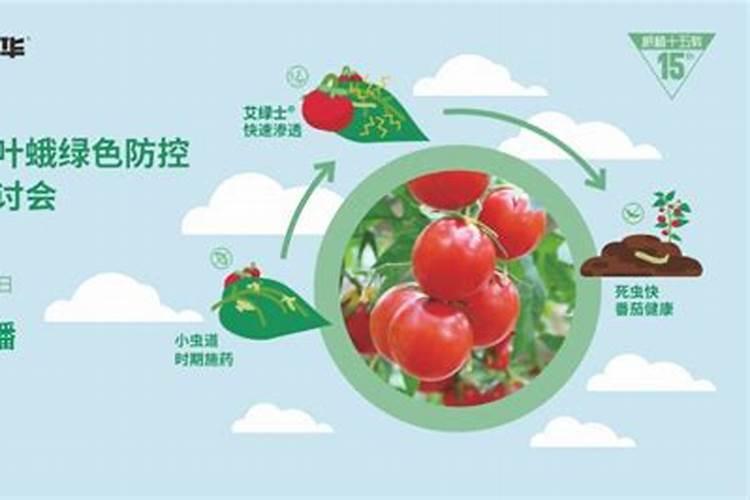 绿色守护：防治小菜蛾的可持续策略