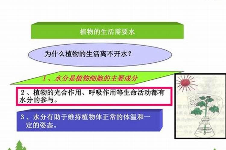 农盐：作用巨大，使用需谨慎