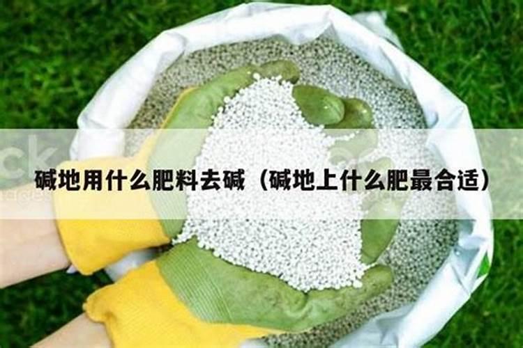 碱地用什么叶面肥最好？