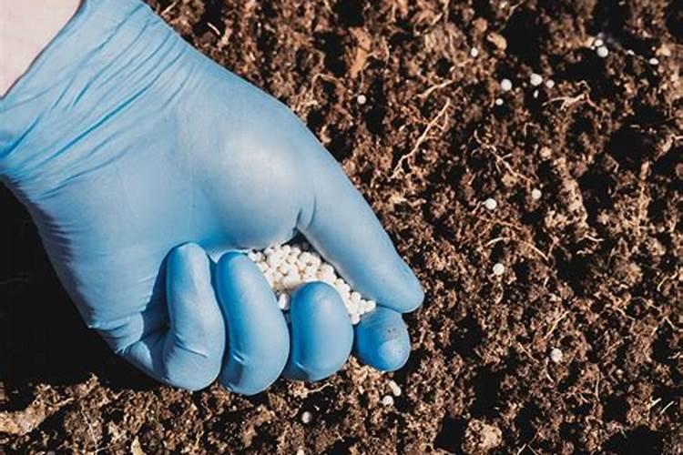 “六措施”提高生物肥料的利用率