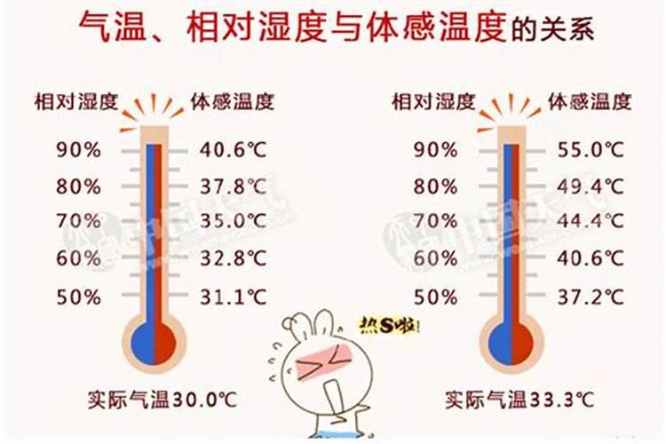 天鹅绒叶子下垂的原因和解决办法？