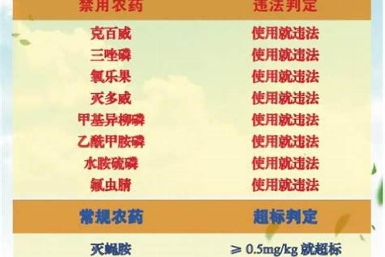豆角守护者：农药综合防治病虫害的智慧之道