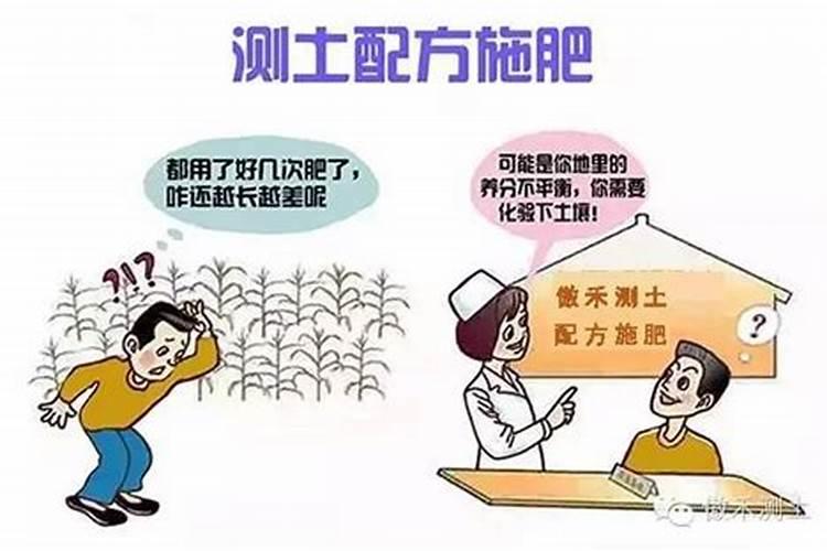 蘑菇追肥液的自配秘籍：提升产量与品质的关键