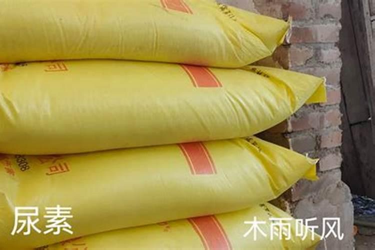 怎样使用尿素追肥？