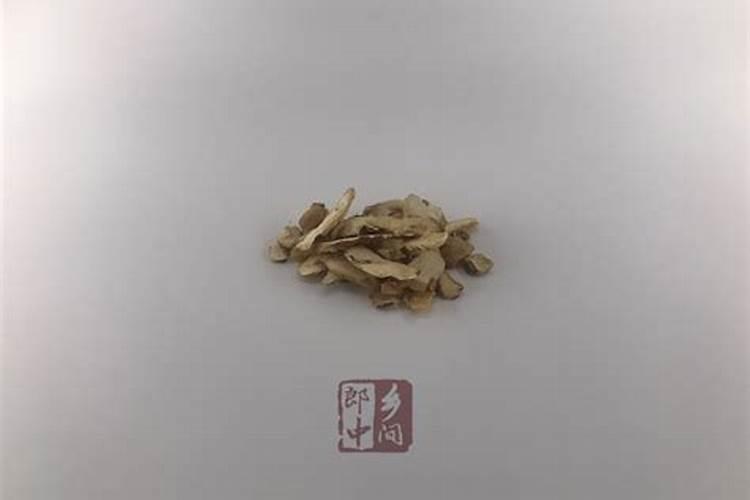 揭秘：如何精心培养出茂盛的知母？