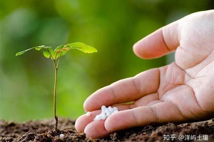 因地制宜，科学施肥——作物土壤差异与化肥选择指南