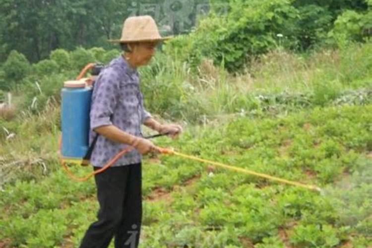 夏日炎炎，如何智慧打药？——夏季施药小技巧与注意事项解析