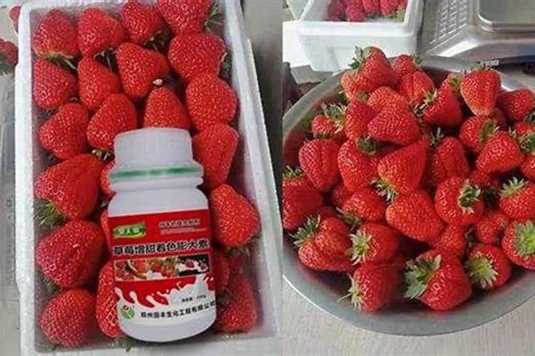 草莓专用叶面肥怎么施用最好？