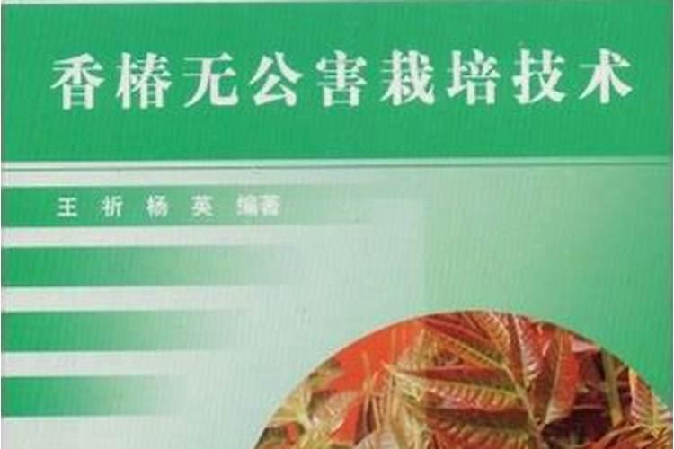 无公害香椿栽培要领在哪？
