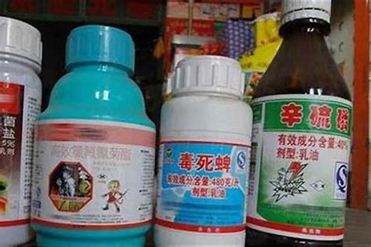 天气与农药：施用时机的选择