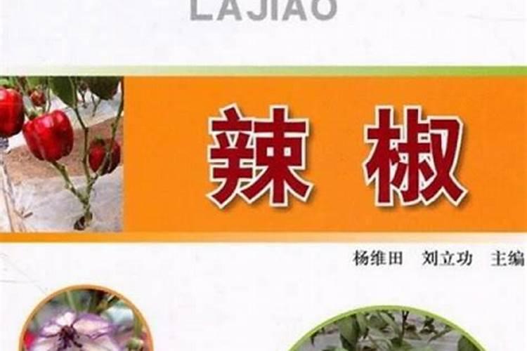 豆蔻年华：豆类蔬菜栽培技术精要