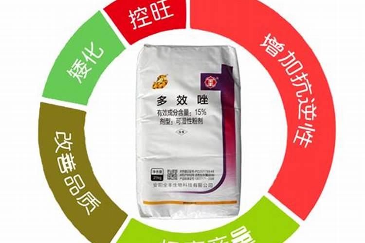 油菜喷施多效唑效果明显？