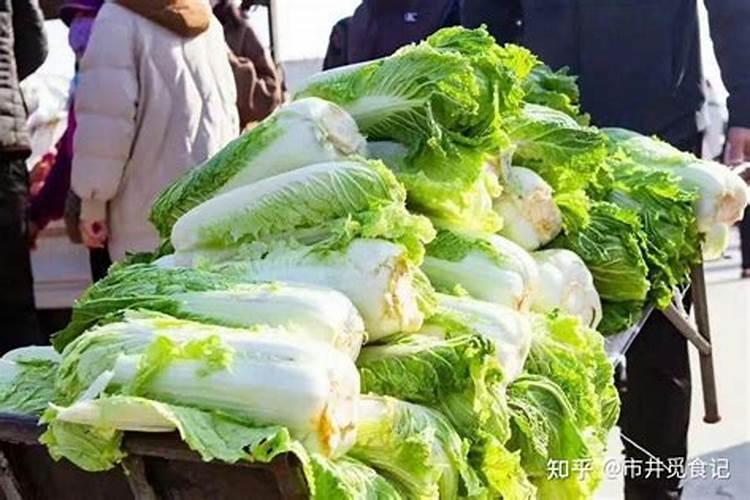 大白菜高温干旱管理攻略：保持清凉与滋润
