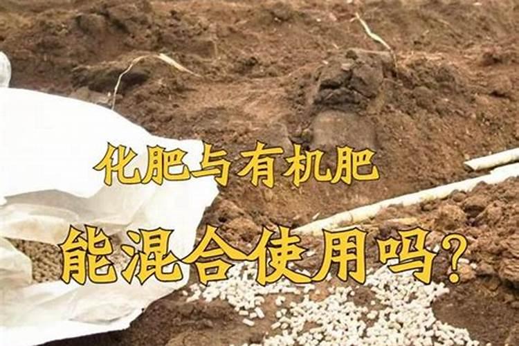 夏日养护化肥的智慧：几个关键窍门？
