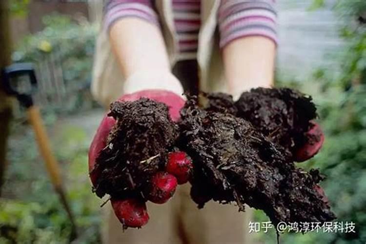 为什么要施用微生物肥料？怎么用？用多少？