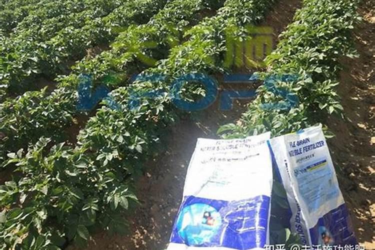 进口水溶肥与国产水溶肥的区别在哪里？进口真的好吗