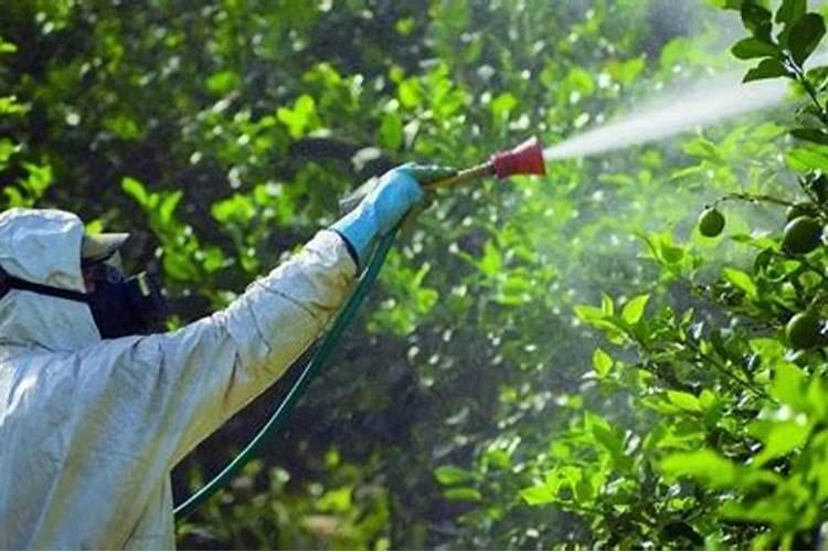 绿色守护：生物农药与生物防治在现代农业中的革命性角色