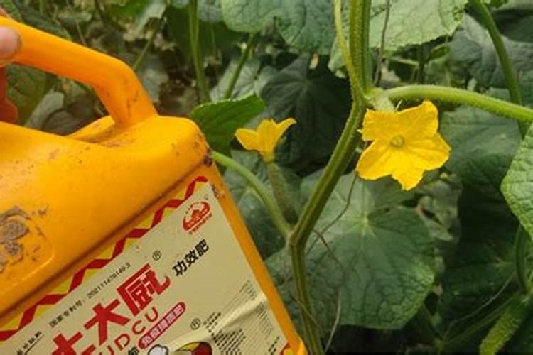 水溶肥1克怎样取出来用？