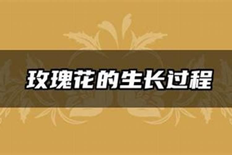 花生长的不够伸展，是什么原因？