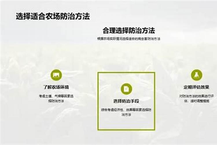 胡萝卜的守护者：病虫害防治策略全解析