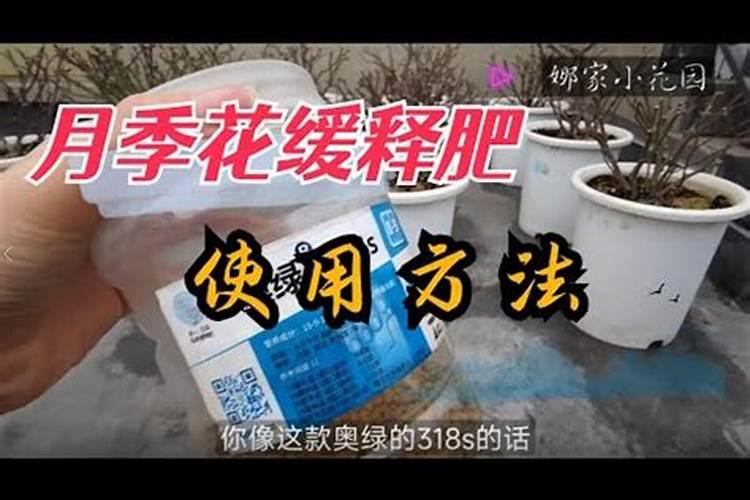 微肥的正确打开方式：高效养花的秘诀？