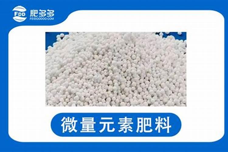 微肥的正确打开方式：高效养花的秘诀？