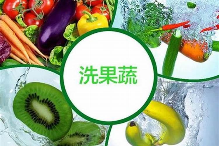农药氧乐果在蔬菜杀虫中的适用性与风险评估