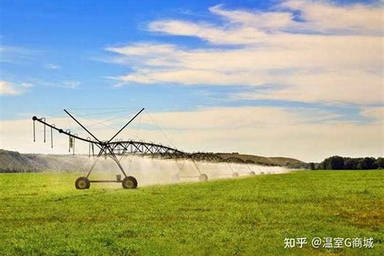 土方法喷施农药：浪费与隐患的双重危机？