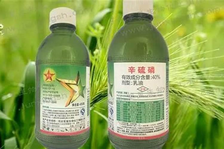 守护绿色田野：鳞翅目害虫的化学克星及其特点解析？