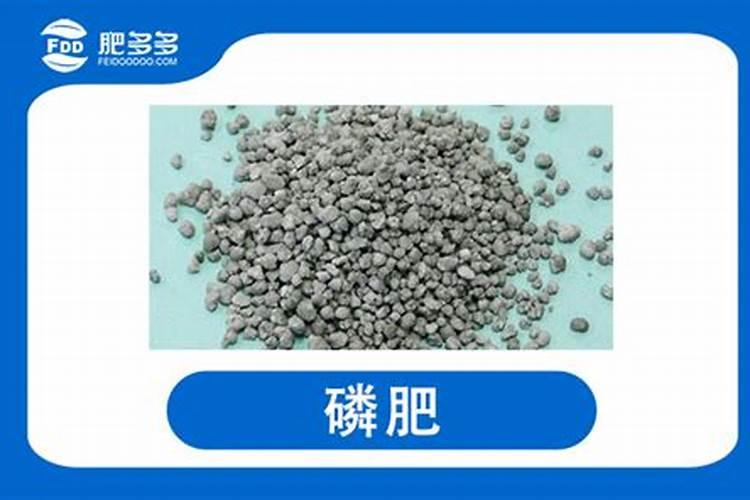 磷肥施用时有哪些有讲究？