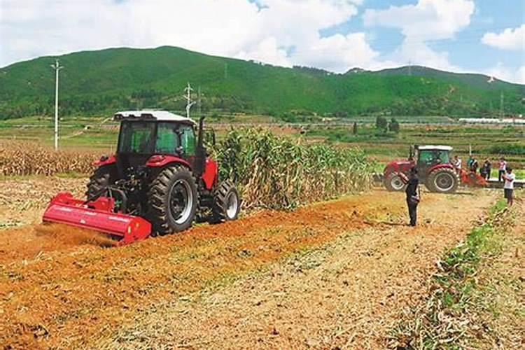 夏玉米铁茬机械化播种技术：农业现代化的关键一步