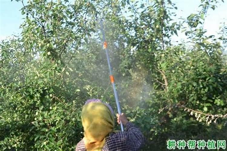 农药的十种常规使用方法及其注意事项：确保农业安全与环境保护？