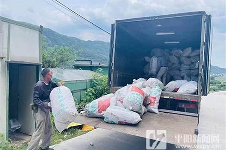 绿色呼唤：妥善处理农药废弃包装的行动指南