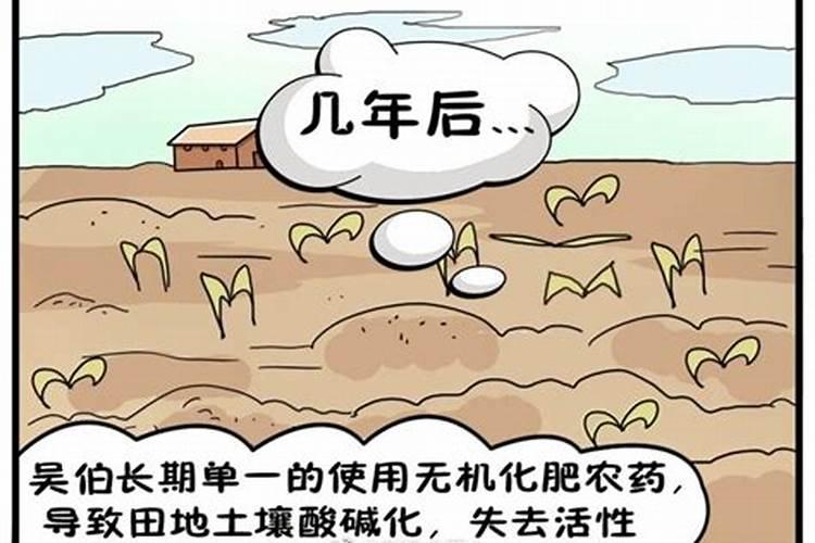 警惕！化肥施用禁忌与环境保护的平衡艺术？