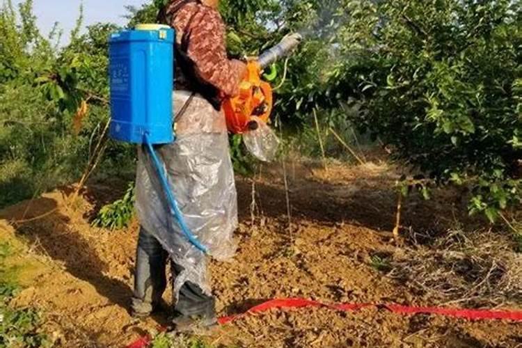 揭秘酸碱性农药：为何大众认知常出错？