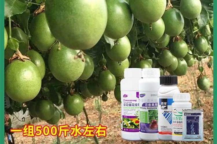 叶面肥果壮壮的叫什么草？