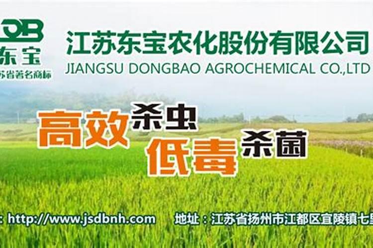 农药原药质量的黄金准则：保障与提升