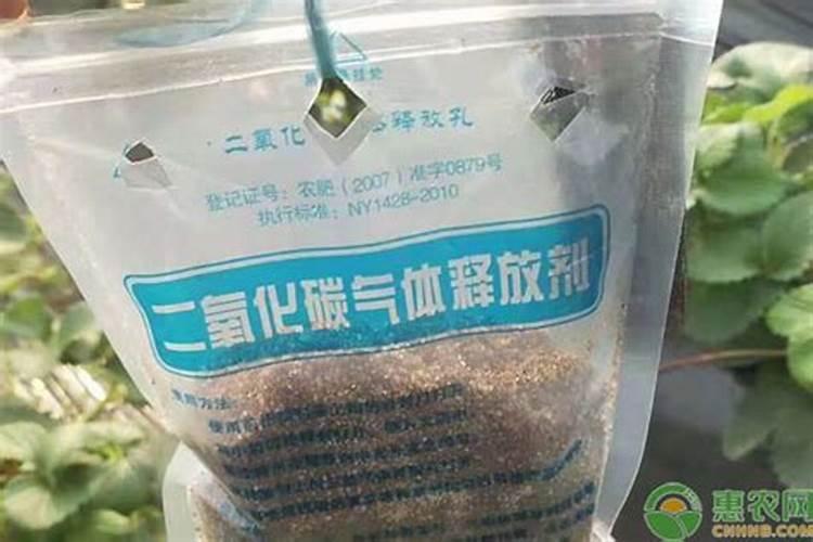 温室中的气肥施用策略