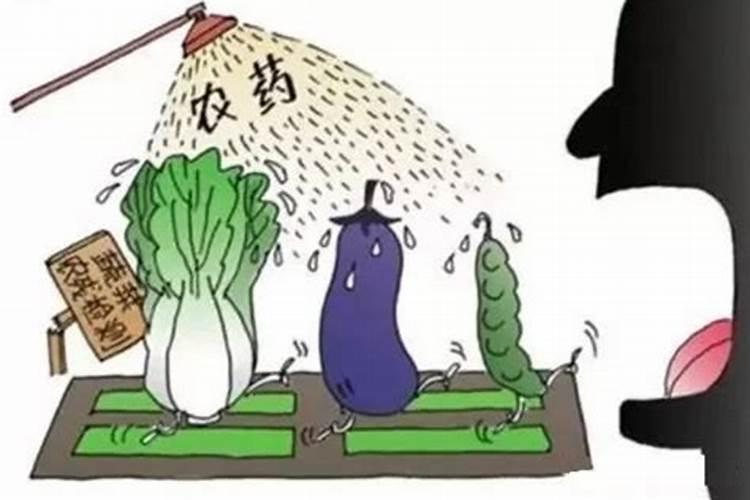 揭秘肥料背后的真相：破解农业神话