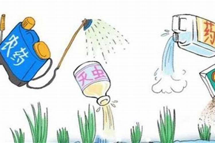 农业守护者的智慧：合理使用农药的科学指南