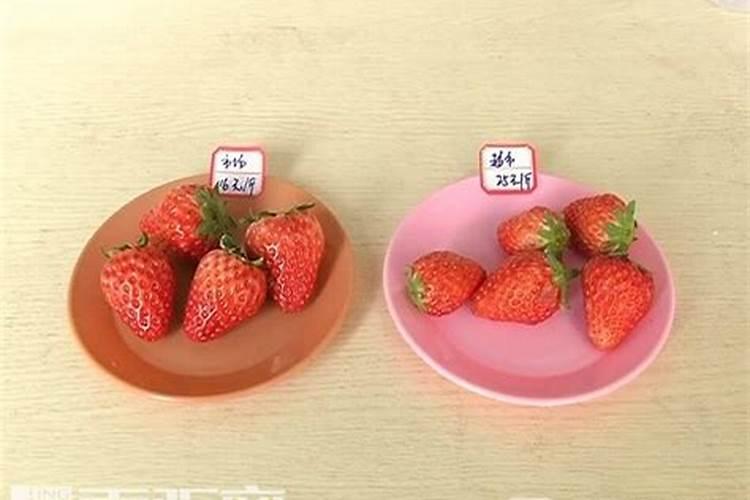 寒冬珍品：冬草莓的农药使用指南