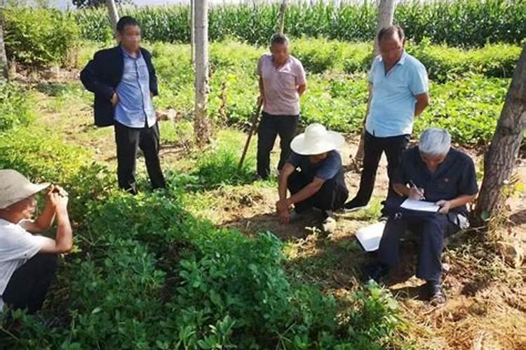 田间地头的警钟：农民用药误区多？