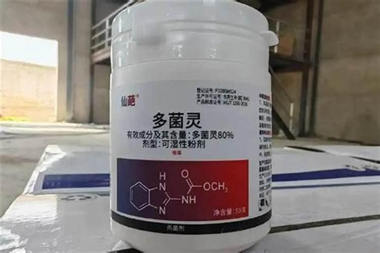 多菌灵可以去除小虫子吗？