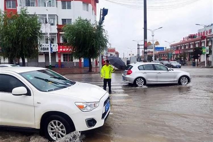 雨中坚守：探索耐降雨农药的稳固之选