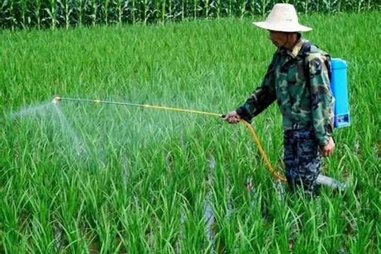 化学除草剂存在哪些问题？应该怎么解决呢？